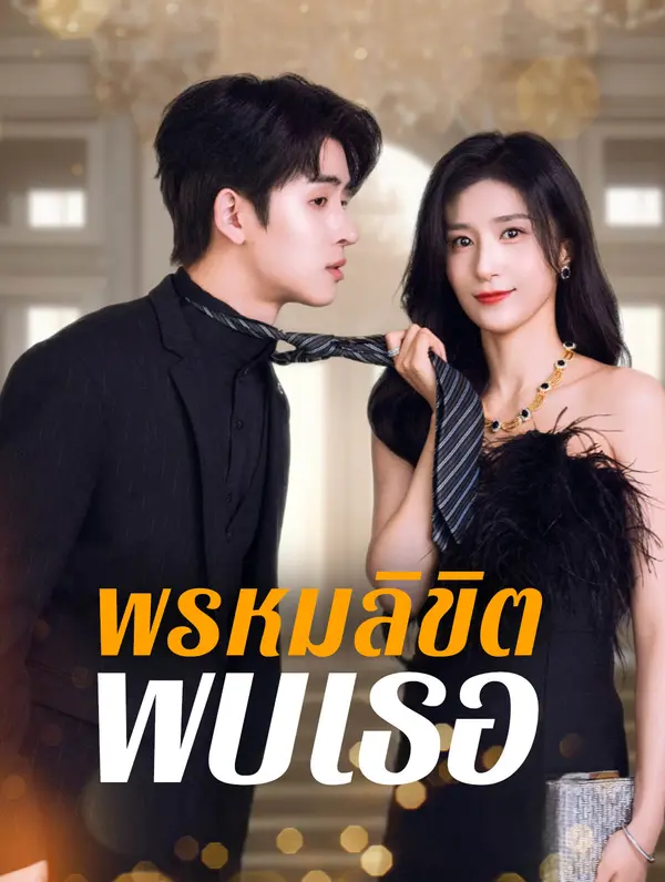 พรหมลิขิตพบเธอ(พากย์เสียง)