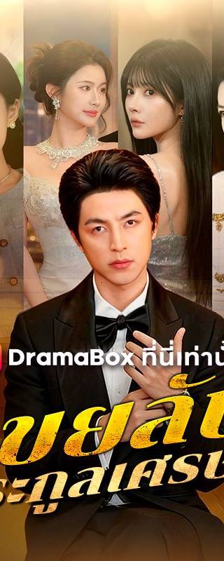 เขยลับตระกูลเศรษฐี(พากย์ไทย)