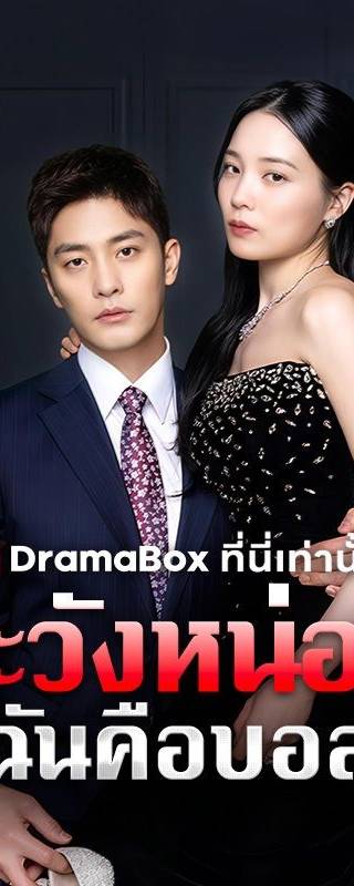 ระวังหน่อย ฉันคือบอส(พากย์ไทย)