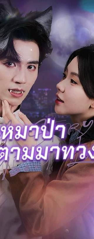 (พากย์)พ่อหมาป่าตามมาทวงรัก