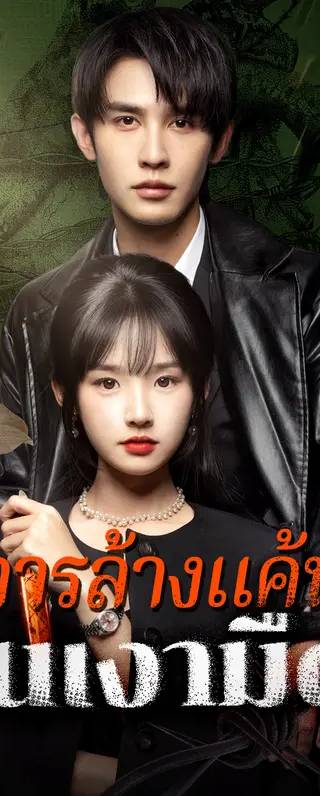 การล้างแค้นในเงามืด(พากย์เสียง)